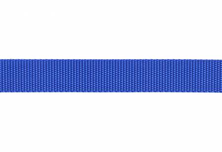 Nylon Webbing 1in Royal Blue