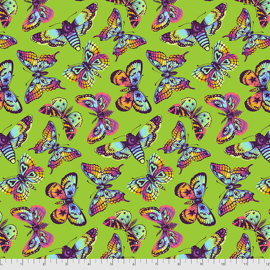 Colorful moths on a green background