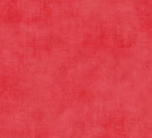 A close-up of a textured red fabric or material surface filling the frame.