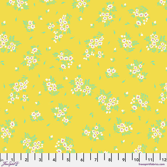 PWTP253.BUTTERCUP