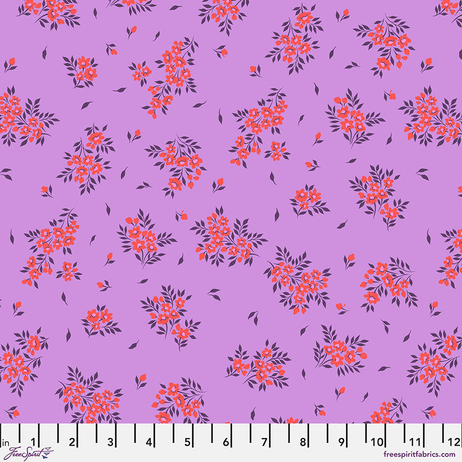 TP253.HELIOTROPE