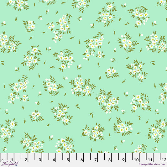 PWTP253.SPEARMINT