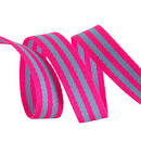 2yd Aqua and Hot Pink-1in wide-Tula Pink Webbing